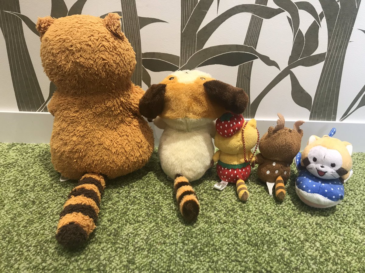 rrascal05's tweet image. 今年のしっぽの日はラスカルベーカリーで過ごせて嬉しかったミャ！
#ラスカル 
#ラスカルベーカリー 
#ラスカルしっぽの日