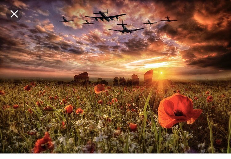 “When you go home, tell them of us and say: For their tomorrow, we gave our today...” #rememberenceday #lestweforget 🌹❤️