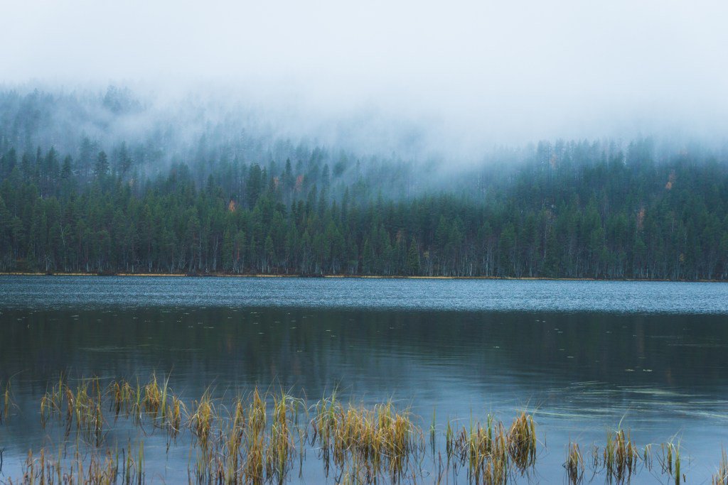 Tre minuter om dagen som gör skillnad i själen explorealittlemore.se/tre-minuter-om…