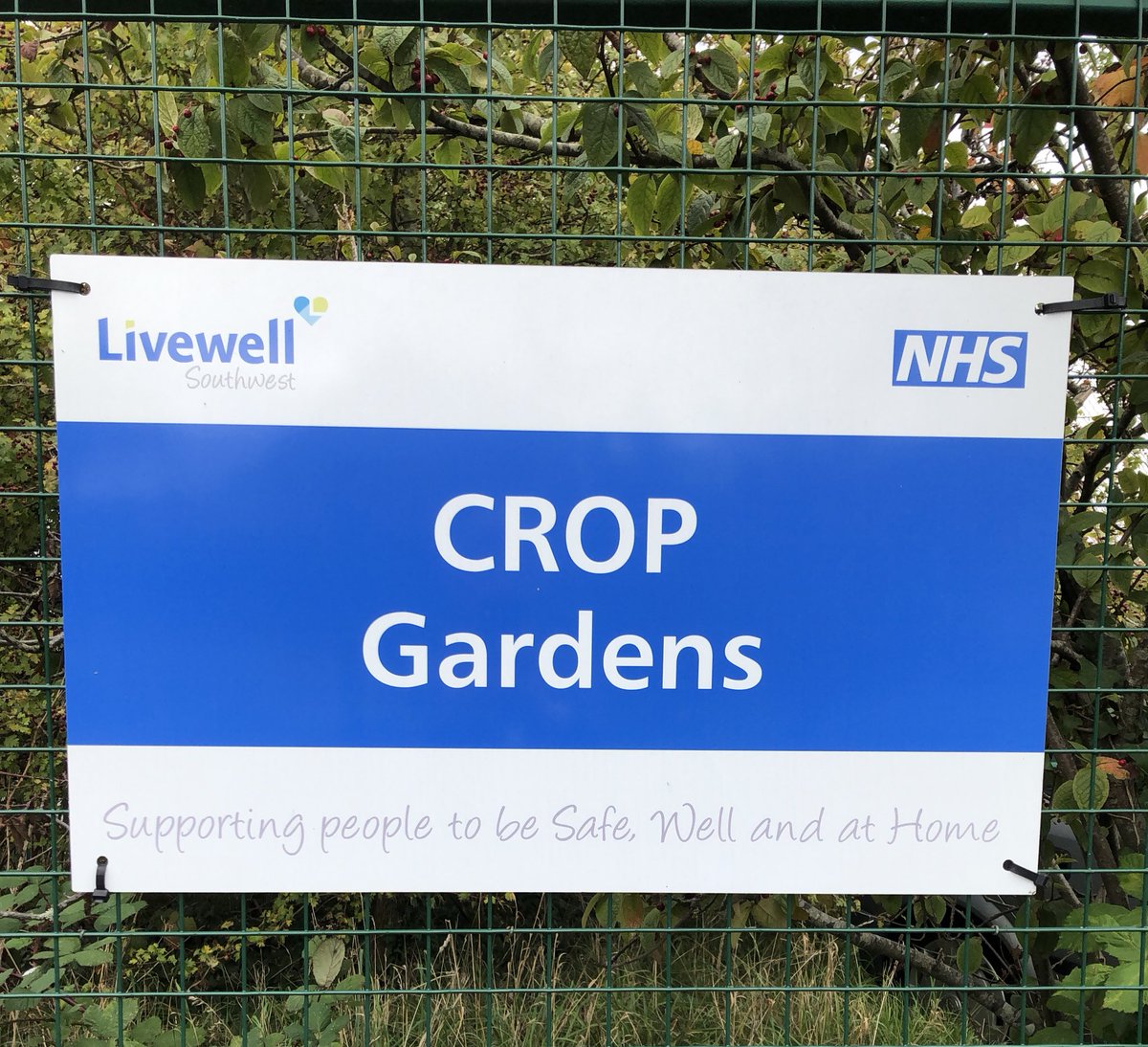 livewellsw's tweet photo. Tune in to @BBCDevon @TobyBuckland today to hear Jeff our horticulture therapist on how gardening helps wellbeing. He’s on between 11.15-noon https://t.co/cwd5Xl3btT