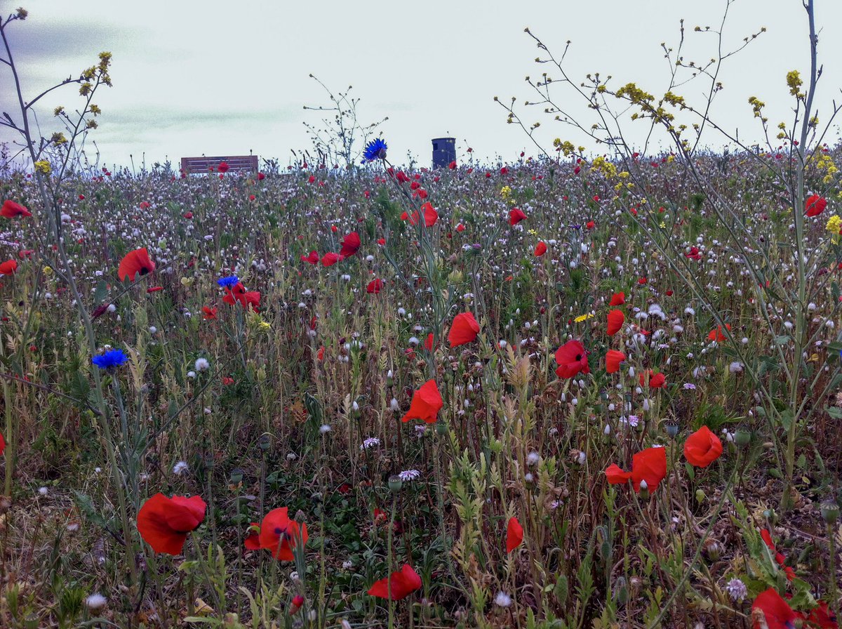 SimonJB285's tweet image. 100 Years