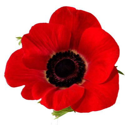 fencecontrol's tweet image. #NewProfilePic