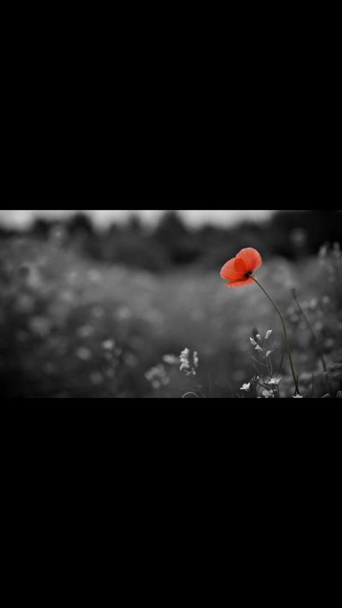 At the going down of the sun 
And in the morning .
We will remember them . 
#lestweforget