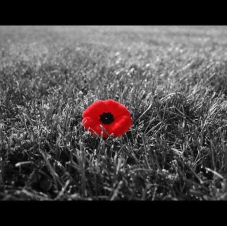 SRHRandTraining's tweet photo. #LestWeForget #ThankYou100 https://t.co/B1DHM5DxMt