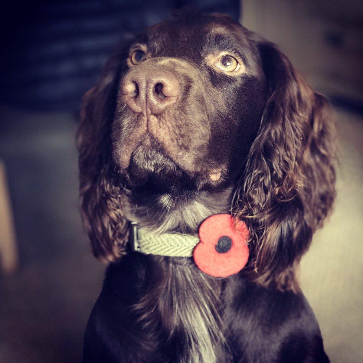 Today we remember ❤️ #LestWeForget