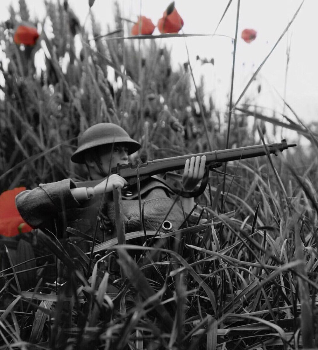 Lest we forget #RemembranceDay #ArmisticeDay2018 #poppy #actionman #royalbritishlegion <a href="/wisdomdesignuk/">Wisdom Design</a>
