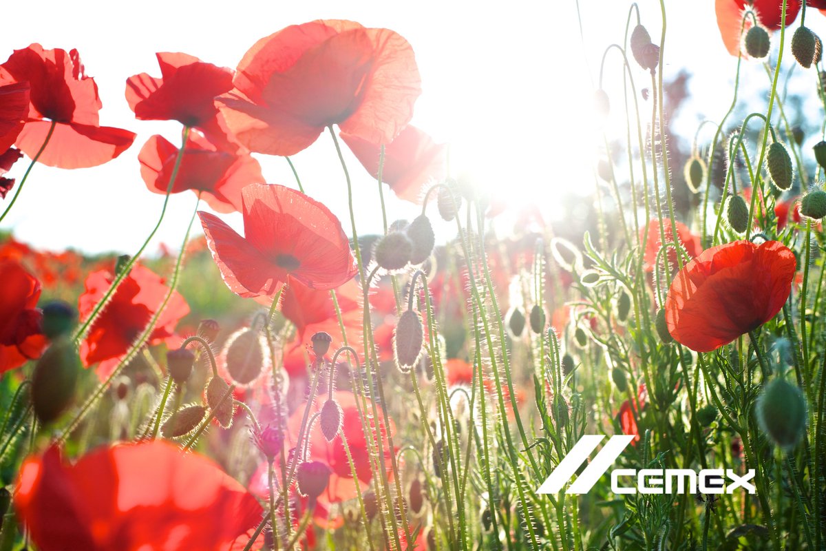CEMEX_UK's tweet photo. Today marks #RemembranceDay. We’re honouring the servicemen and servicewomen who gave their lives for their country. Our thoughts are with the families who made the ultimate sacrifice. https://t.co/qJ14kK4nt3