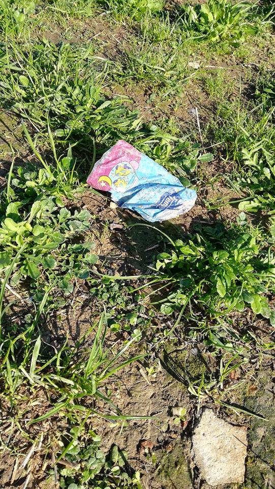 UniPlogging's tweet photo. <<Credo che avere la Terra e non rovinarla sia la più bella forma d'arte che si possa desiderare>>
- Andy Warhol
#SocMar #mkts2018 #mktsociale #mkts #plogging #clean #workout #environment #healty #run #running #world #active #health #fit 
@mktsociale @UniboMagazine @compassunibo https://t.co/O5YR61uiTf