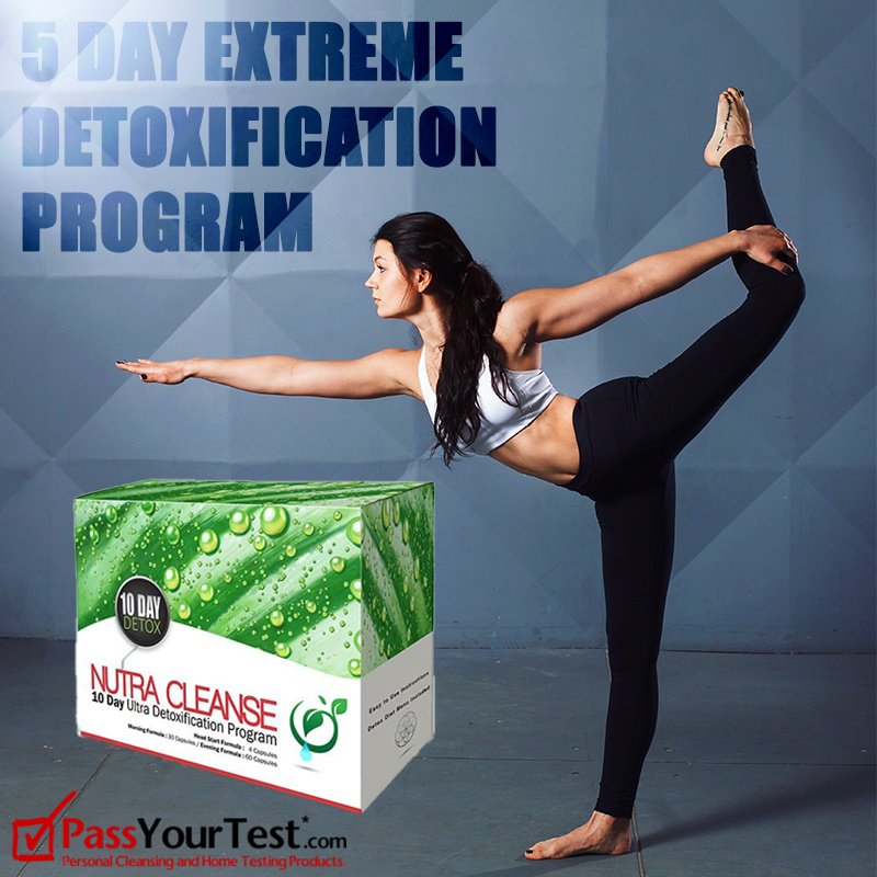 Pass_YourTest's tweet photo. Get back to the life you love when you detox with our 5 day cleanse programs. 
••••••••••••••••••••••
Follow Pass Your Test for more 📲
https://t.co/Thj2bOp0c0
••••••••••••••••••••••
#PassYourTest #5DayDetox #DetoxPrograms https://t.co/Q5xpnQZoIy