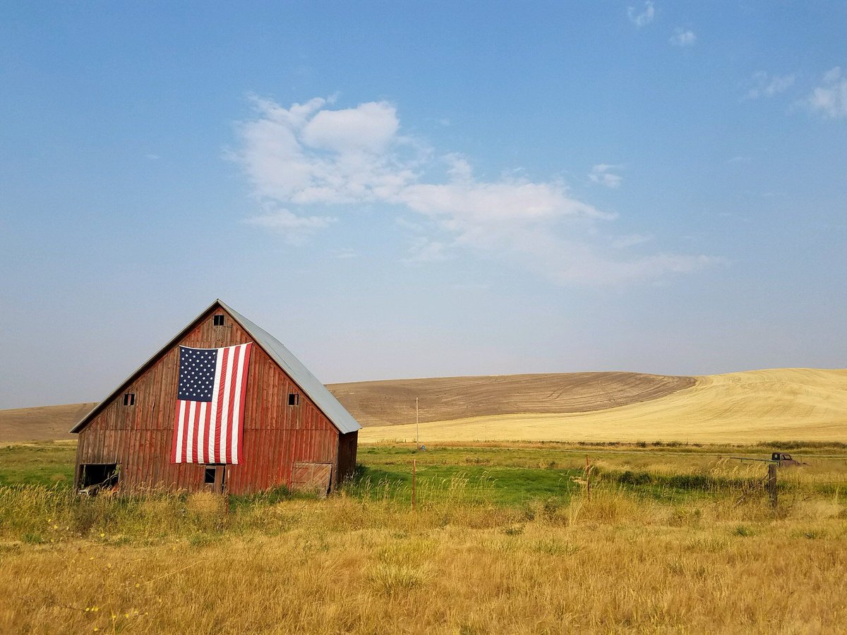 FarmVetCo's tweet photo. FVC honors all those who served today. We believe veterans deserve more than just gratitude; they deserve productive &amp; meaningful careers when they return home. To all #farmer #veterans, Happy Veterans Day - Keep feeding America! #HomegrownByHeroes #UnitedWeFarm https://t.co/sSxaDWozH3