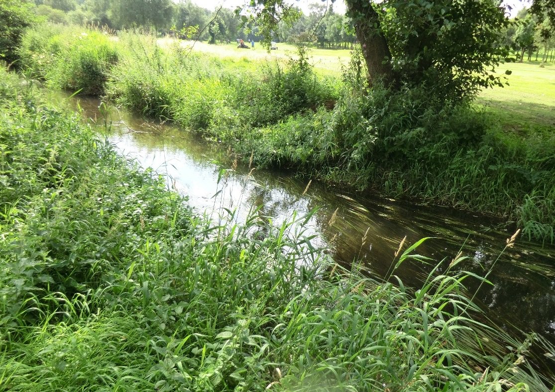 EnvAgencyAnglia's tweet photo. We've been working with Norfolk Rivers IDB &amp; Broads IDB, part of @The_WMA, to consider options to re-designate #RiverTud, #TunstallDyke &amp; #WaxhamCut as ordinary watercourses - read more &amp; have your say in the public consultation from tomorrow #Demaining https://t.co/XWTD1sr1tT https://t.co/XadwOi9YXu