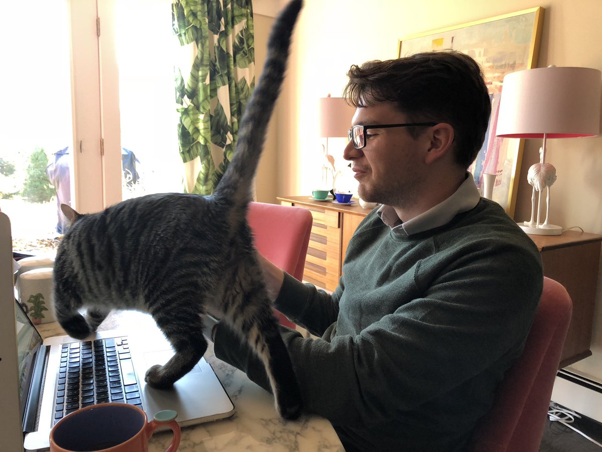 amyhoy's tweet photo. morning content. @tcannonfodder is up to visit and hack on @pepdoesit https://t.co/YbvbFyzJ8M