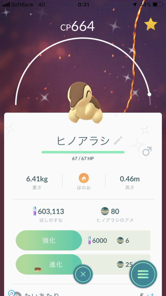 ポケモンgoヒノアラシ