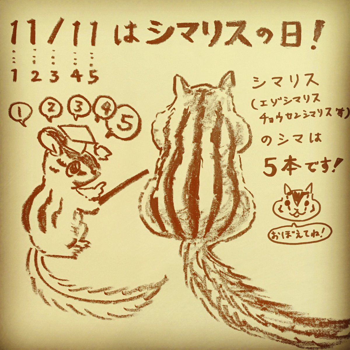 シマリス の 背中 の 縞 模様