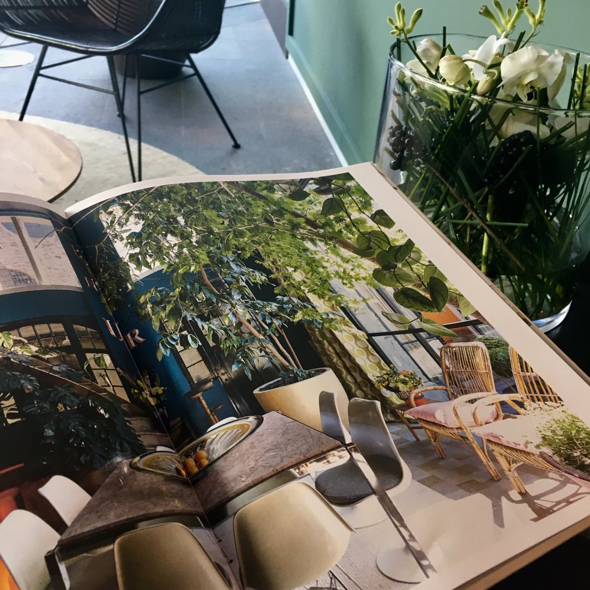 It’s as if they knew I was coming... Found the most amazing book on #biophilic design in a hotel lobby. Green is on trend! 🌱💚 #wellness
