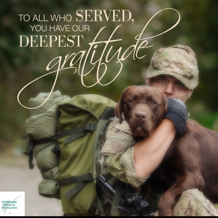 VSSOCTustin's tweet photo. Thank you for your service. We are deeply grateful. https://t.co/J6MyVeLyIq