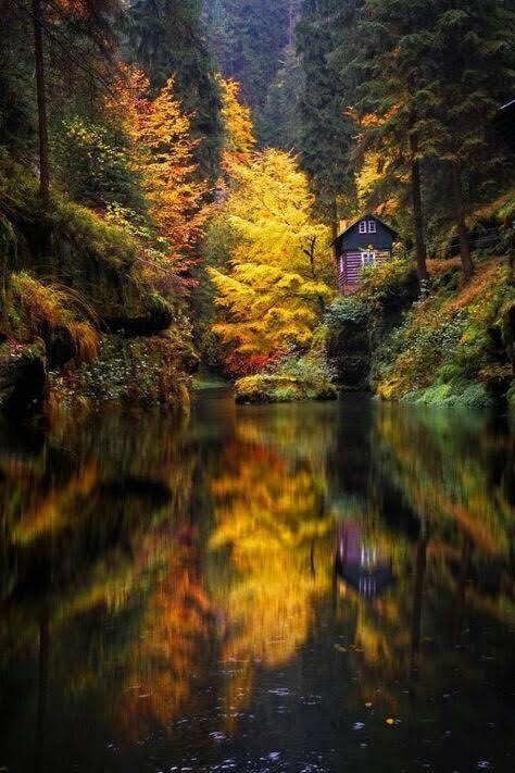 BluesignV's tweet photo. Still.    Autumn 🍂 https://t.co/1eQVaWUk4b