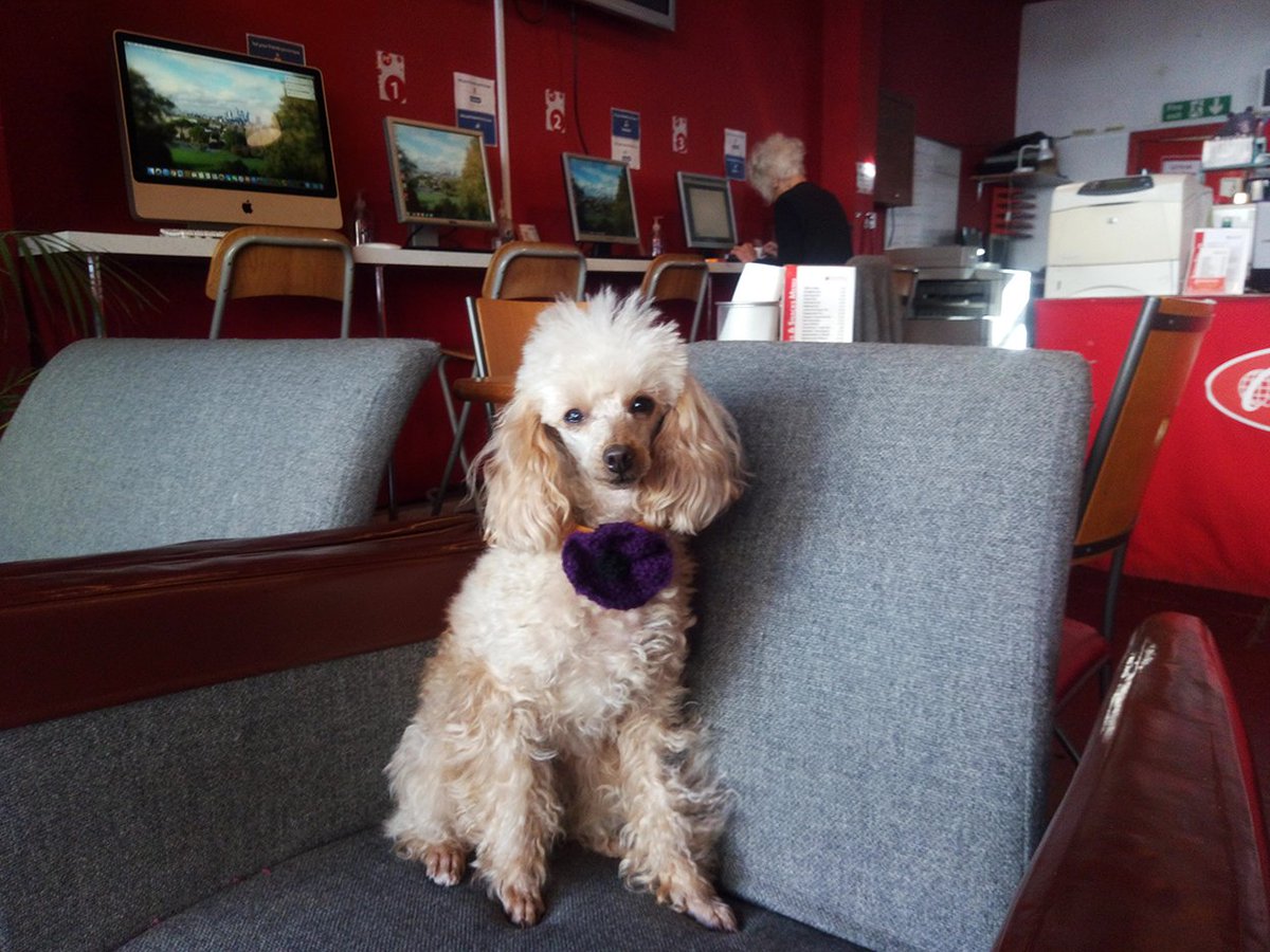 GreenwichCC tweet media