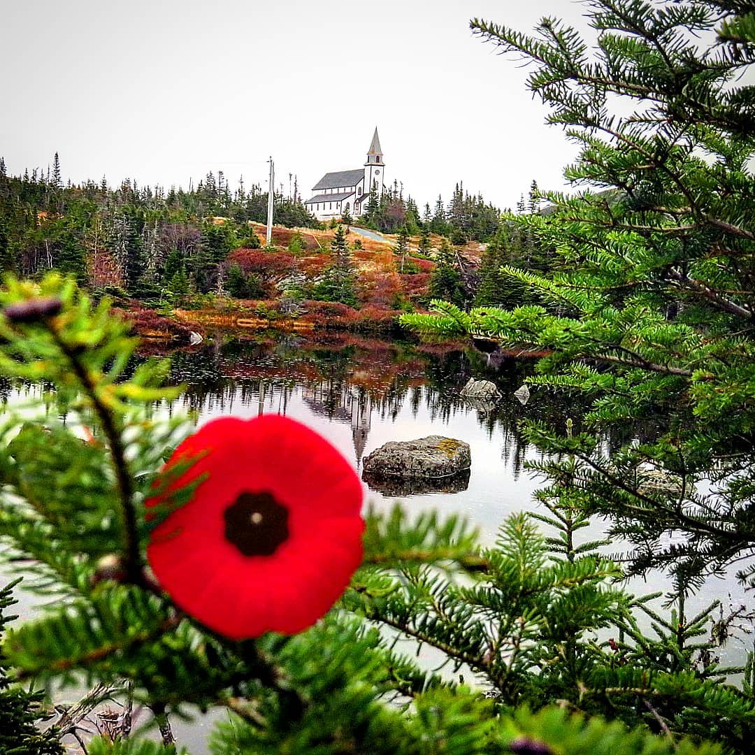 "At the going down of the sun and in the morning, we will remember them."
#RemembranceDay2018 #lestweforget