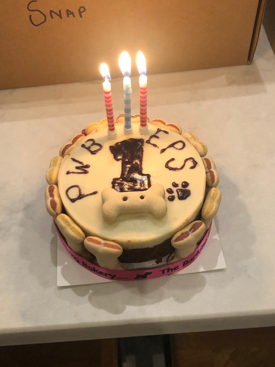 snapthedoodle's tweet photo. It’s my 1st Birthday today! 🎈🎉🐾♥️

Head over to Instagram for updates. 📸

#birthdayvibes #birthdayboy #happybirthday #snapthedoodle #dogsofinstagram #DogsofTwittter #dogsarelove #doglovers #goldendoodle #1stbirthday #dog #doggo https://t.co/1nXgAp2nwT