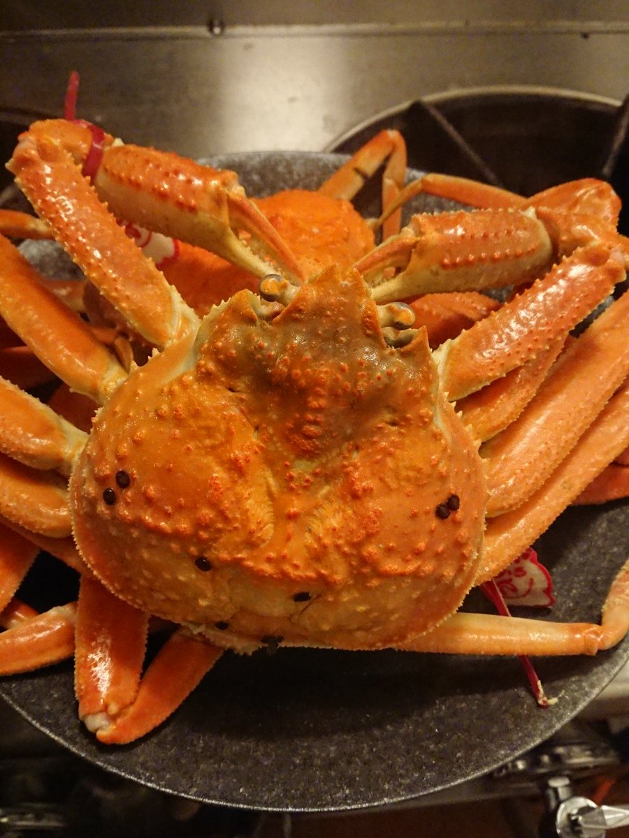 kuripoo's tweet photo. 🦀～ https://t.co/AYtn5zEXce