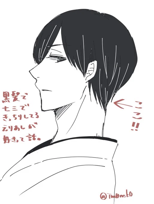 逆裁沼にいると(みんなトゲとかツノとかモジャとかドリルとかで)めったに描く機会がないんだけど、隙のないきちっとした黒髪七三分けのすっきりした襟足が無条件で好き(突然の性癖) 