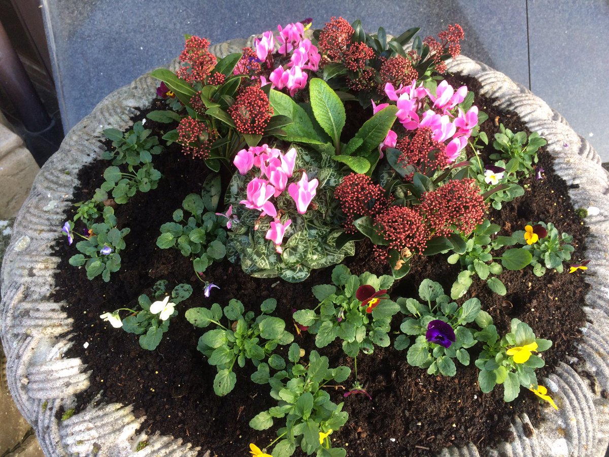 Gardeners Delight tweet media