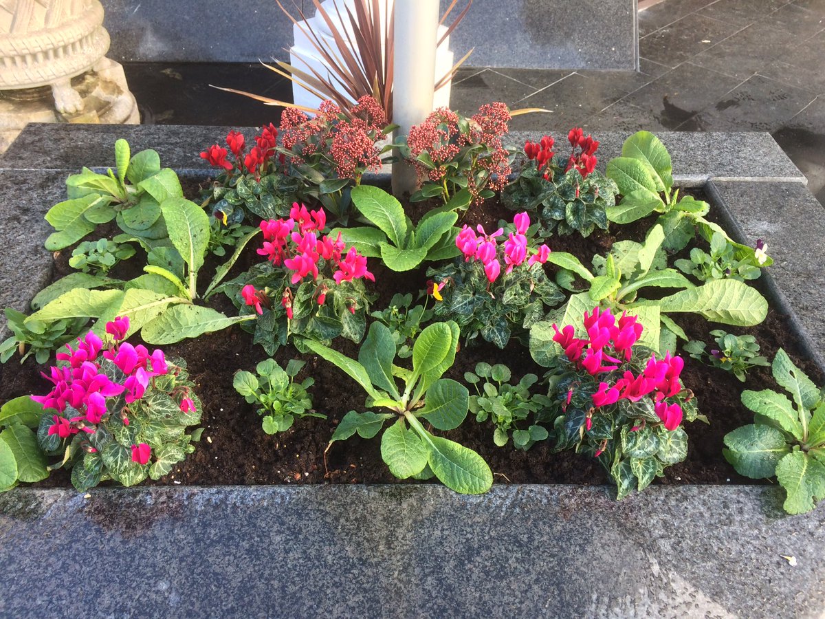 Gardeners Delight tweet media