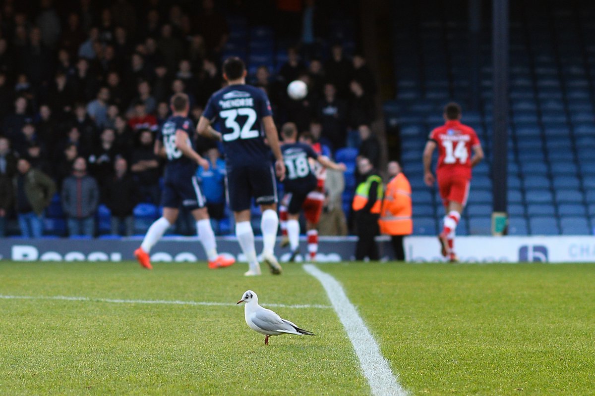 Paul Simpson tweet media