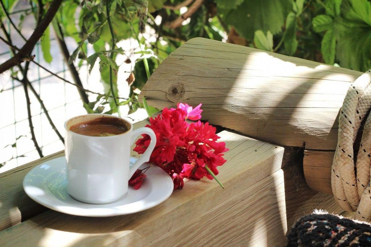 CCMgg_'s tweet photo. No pierdas tanto tiempo para conseguir los GRANDES PLACERES de la VIDA sin hacer caso de las PEQUEÑAS COSAS. Relájate y Disfruta la BELLEZA de todo cuanto te RODEA.
#11Nov2018 ☀️🏞️
#Café ☕ ❤️
#BuenDomingo 😉🌻🌷 🌻 🌷
#Bendiciones 🙏🏻 🕊 https://t.co/u7h9ZCknfN