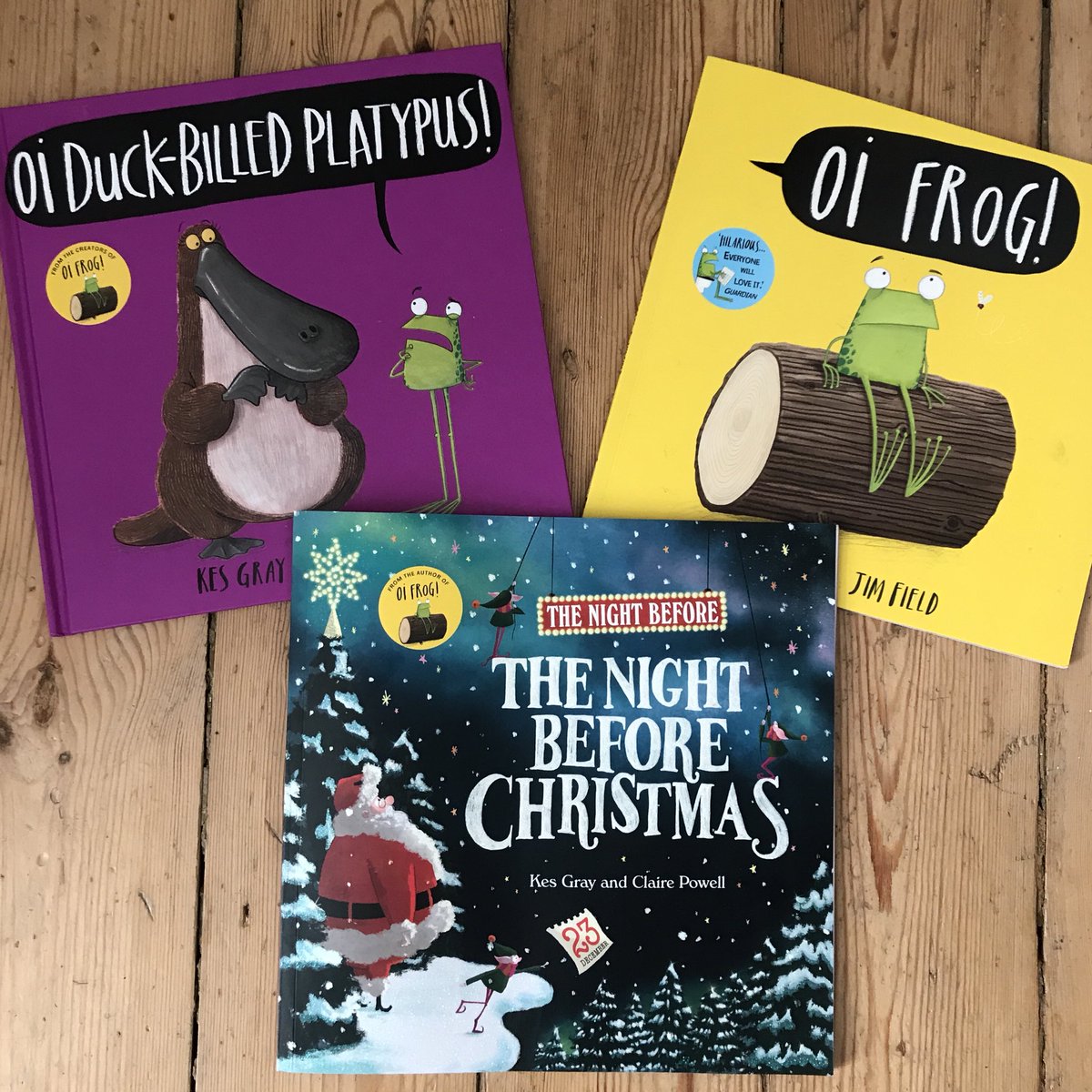 ‘Twas the night before the night before #Christmas
(That’s Christmas Eve Eve)
but no duck-billed platypus 
nor Niamhs sat on leaves!
No frog-sitting dog
or even a hare
not a problem
We don’t despair
Kes and Claire have created 
a fab festive book
It’s the cats pyjamas
take a look
