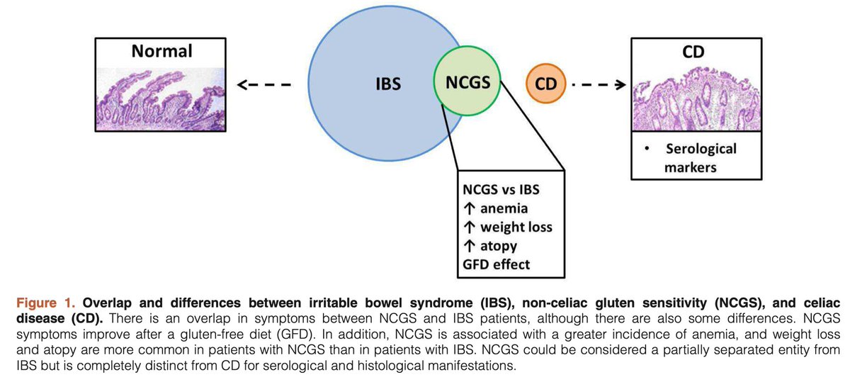 free stimulus secretion coupling in neuroendocrine