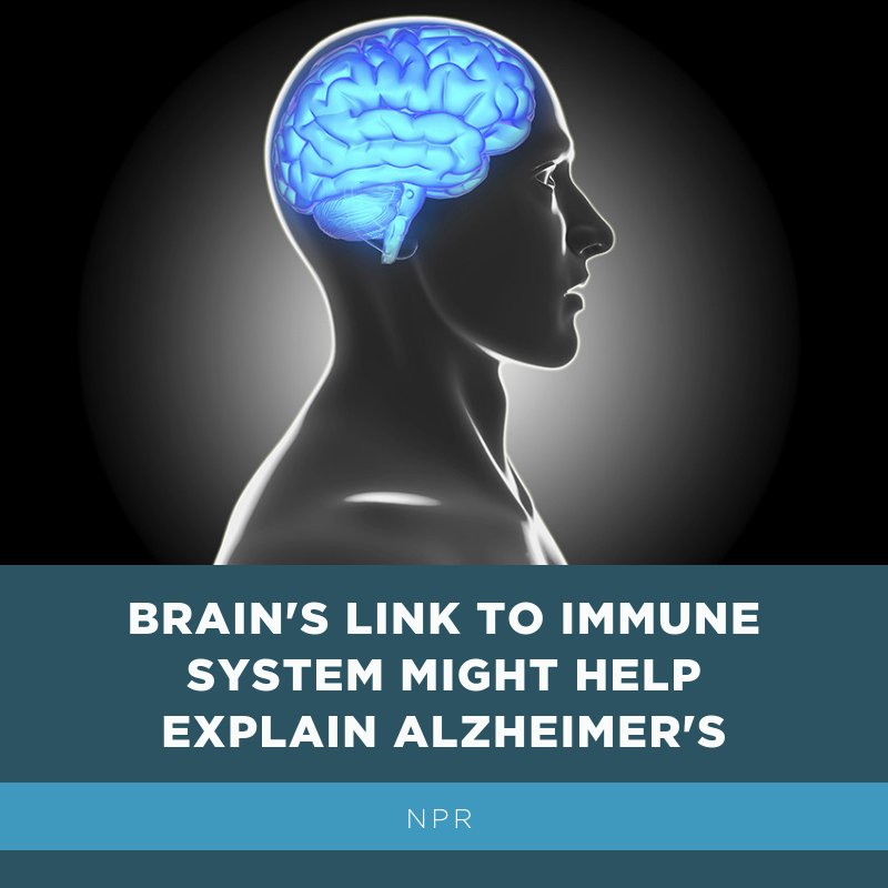 GrandVillaDLA's tweet photo. Researchers can gain a new understanding of #Alzheimers disease by studying the immune system. Learn more on @NPRHealth: https://t.co/KDnBVJunGp #seniorhealth https://t.co/wsQD3T67AJ