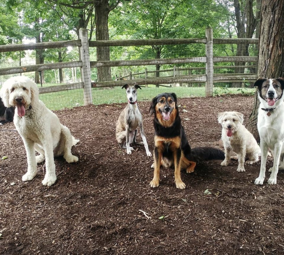 Never worry about renting while having a fur-baby again. All of our buildings are 100% pet friendly and only a few block away from some of the best dog parks in the city 🐶🐱