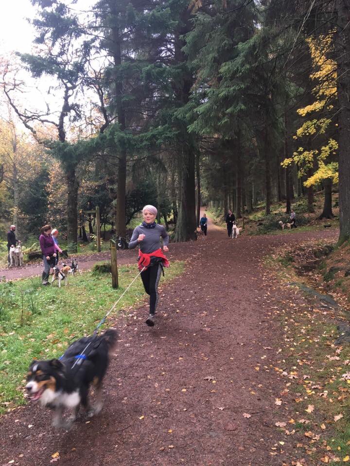 SusanMcGhee123's tweet image. Feeling the love today. Loving running in Cani-fit classes, loving our fab doggy duo and of course loving Mr McGhee, who today joined in the Cani-fit fun taking to the trails with Toby in their first class. We now have a pair of tired pups. 🐶🐶💤💤 #canifit #canicross #fitdogs