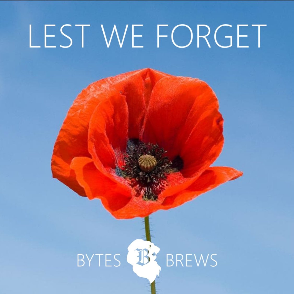 bytesxbrews's tweet photo. Honour our heroes with a moment of silence today... #lestweforget #armisticeday #remembranceday #RemembranceDay2018 #ArmisticeDay100 https://t.co/sXtW7eNMrs
