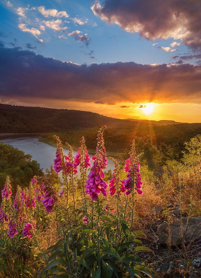 JeanetteEliz's tweet photo. @GaillardoJose @nieuwemarlean @paparosso60 @monicasloves @mariagr39912290 Thank you Jose. 😊 Have a wonderful day everyone. 💞🌺 https://t.co/a9rJl5h92z