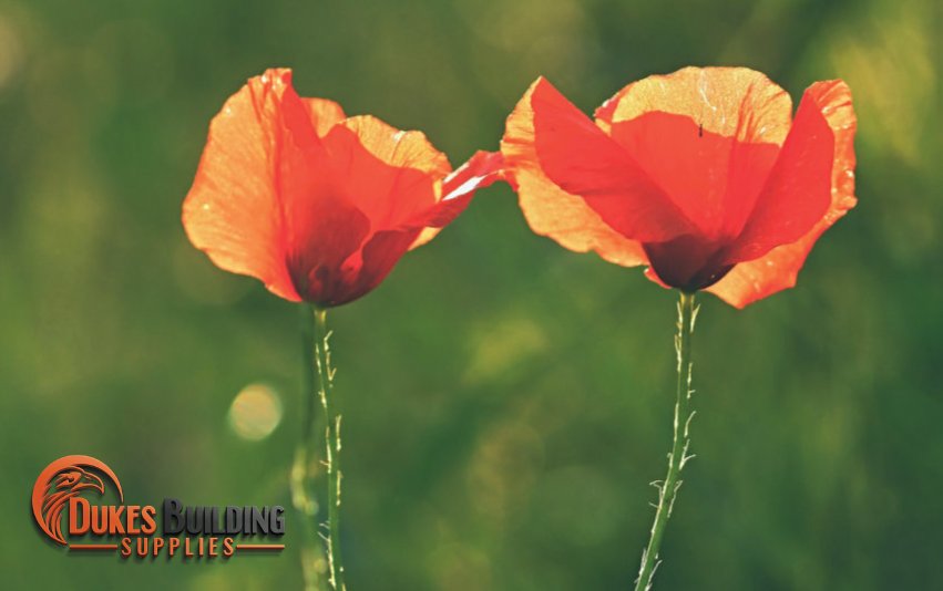 Forever lost. Forever changed. We care. So we remember.