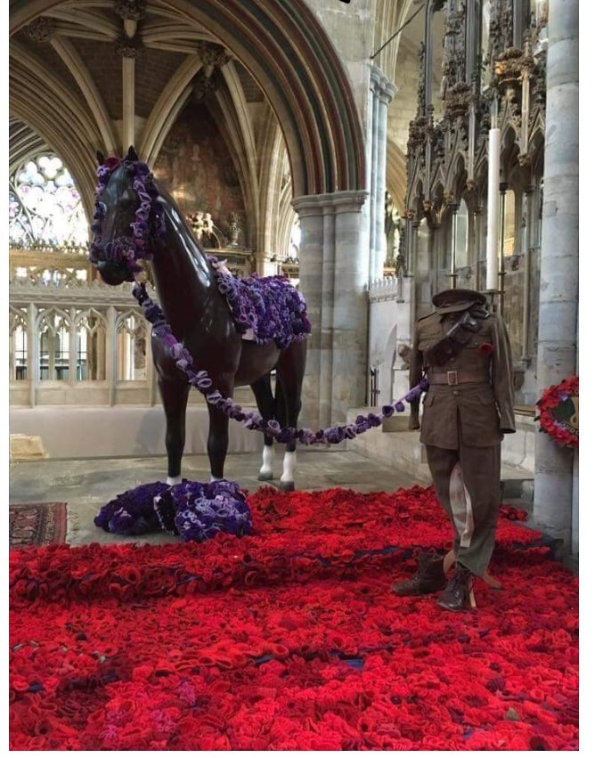 karenjagger2's tweet image. Beautiful tribute #warhorse #animalsofwar #herostoo #LestWeForget