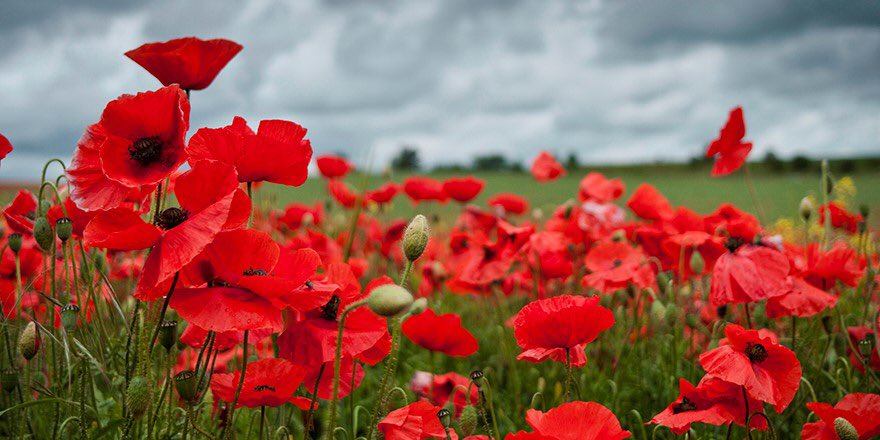 UN1TEdance's tweet photo. Lest we forget https://t.co/B23IiDlOTM