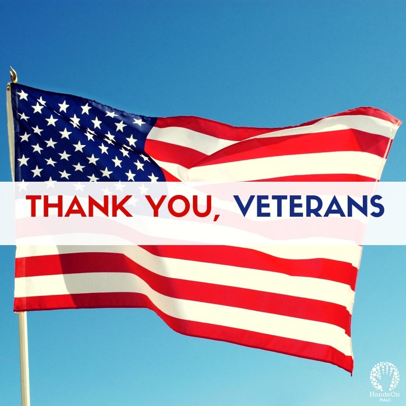 Let's all take a moment to appreciate the brave men and women who have #served our country 🗽 Learn more about #VeteransDay and #AmericanVeterans here bit.ly/2ApYAZa