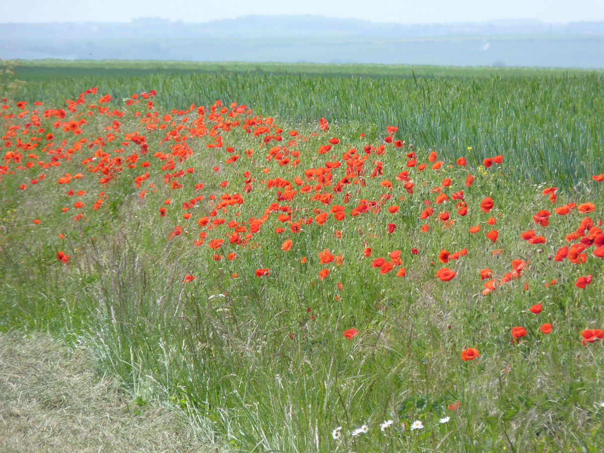 I took this photo in France a couple of years ago. Lest we forget.