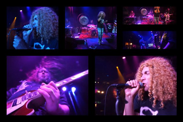 codaledzeppelin's tweet image. CODAZEPP.COM