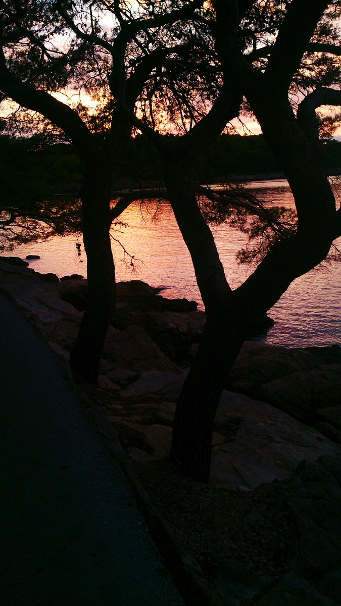 IvanaTurkovi1's tweet photo. 🖤🖤🖤 HOME 🖤🖤🖤

----> https://t.co/MZXX38UTPm

#photography #NaturePhotography #nature #travel #travelblogger #blogger #traveling #home #adriatic #cavtat #sunset #naturelover #happy #instagram #Autumn #SundayMotivation #SundayThoughts #instalove https://t.co/NfN9thYdD5