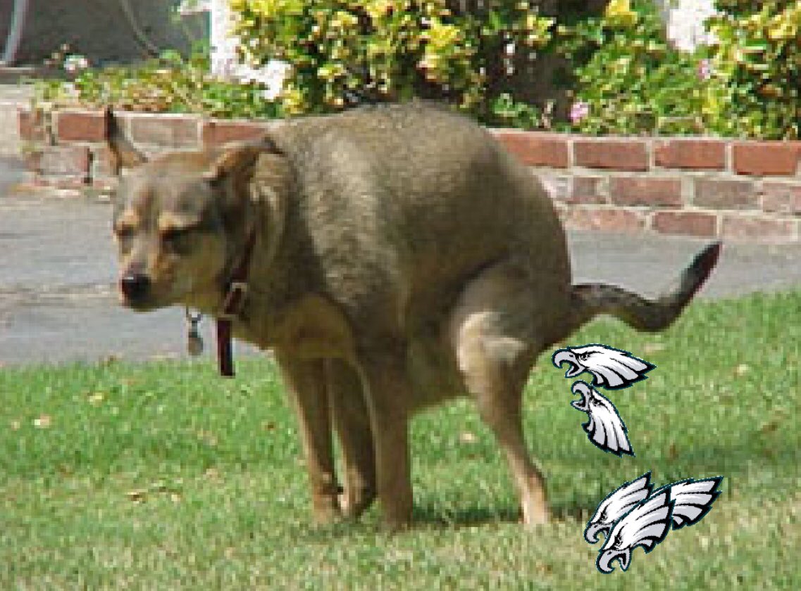BrothaKerr's tweet photo. #snf @SNFonNBC #DALvsPHI #phlvsdal #flyeaglesfly #CowboysNation my dog is doing his daily duties! #shegals https://t.co/gNB1Ee8TRC