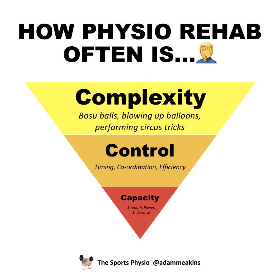 Capacity first... control and complexity later (if needed)

If your physio is making you look like a performing seal in a circus... find another physio! #RetweetForAwareness 😏