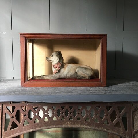 mkitchensmith's tweet photo. Our new newsletter is out now! https://t.co/Q8BMGERxD5 #decorativeantiques #cornwall #marckitchensmith https://t.co/pbGmN56NMF