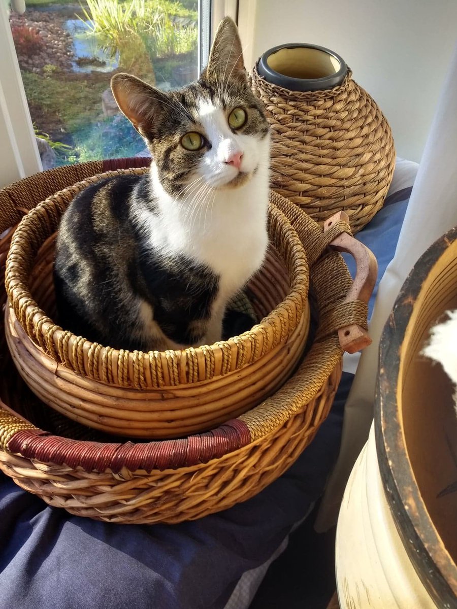 Emi McDade tweet media