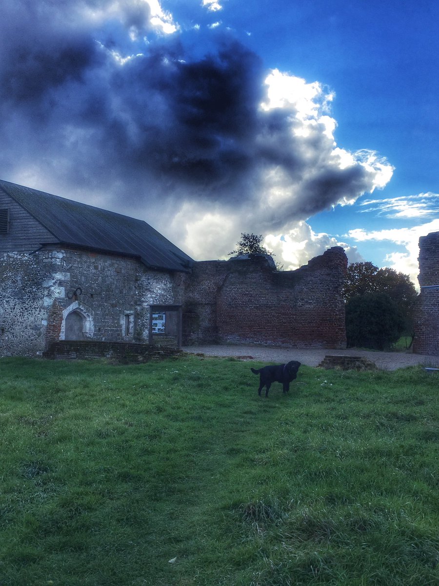 DoggyBonar004's tweet photo. #Birthday walkies & #CommandoCrawlies https://t.co/U6R53V5PqX