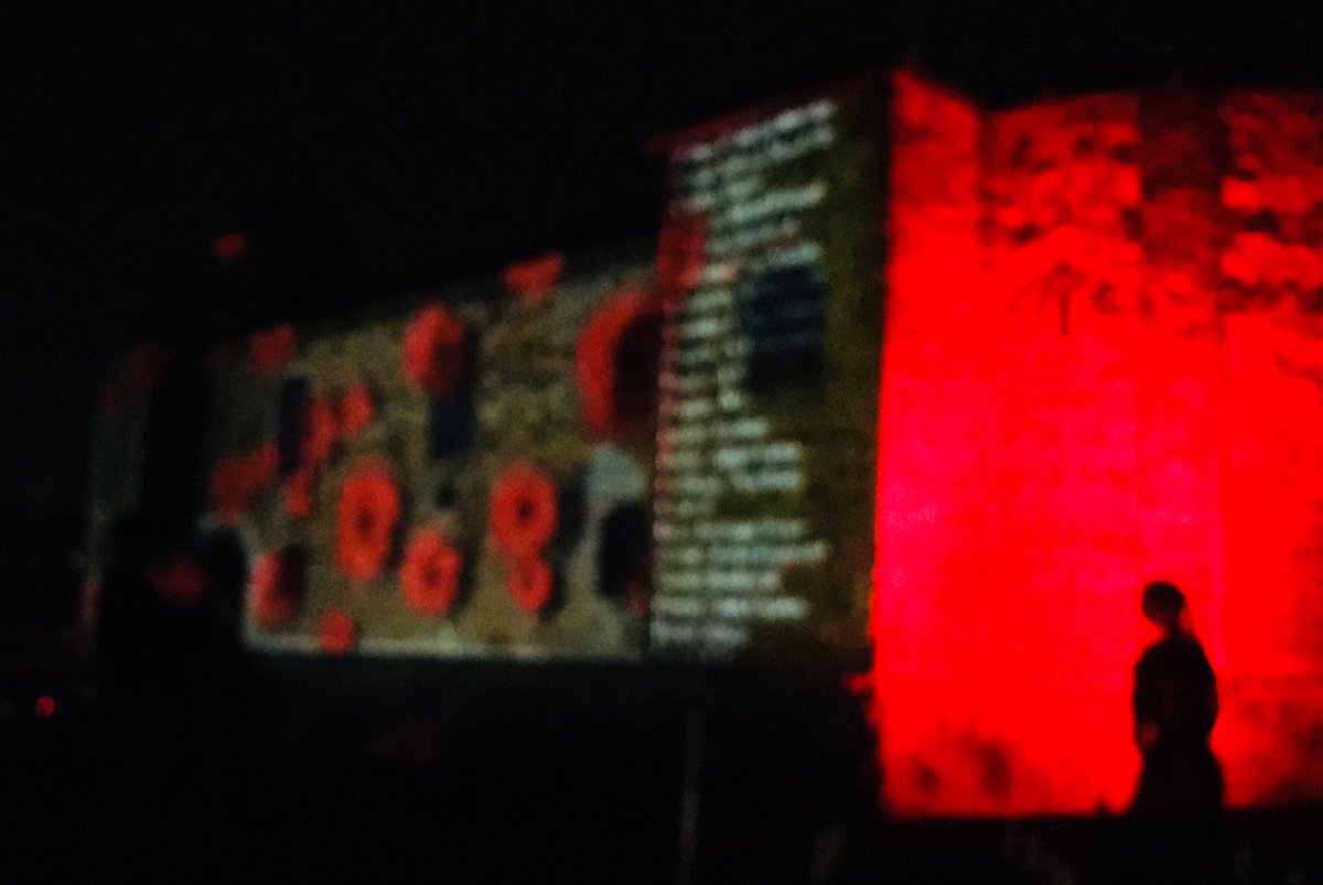 FamilyTreeNat's tweet image. Displays like these #poppies being projected onto #colchestercastle this weekend we’re beautiful #WeWillRememberThem #LestWeForget